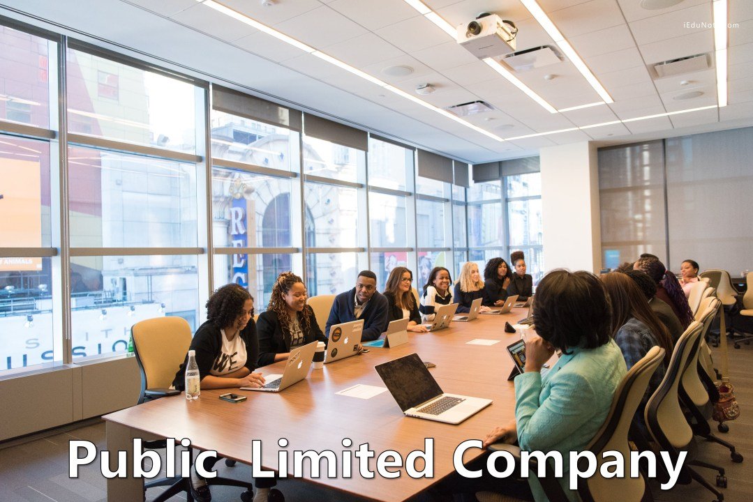 Public Limited Company